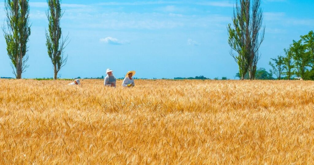 Вірші-пророцтва українських поетів до сліз